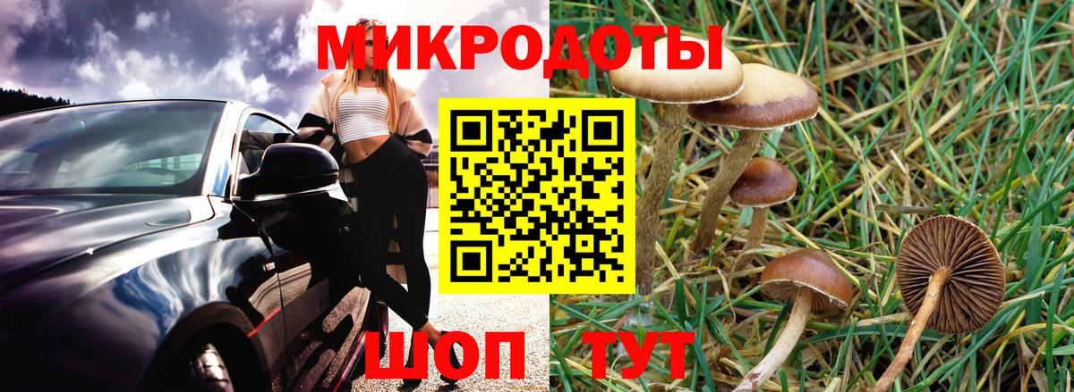 Галлюциногенные грибы Magic Shrooms Сертолово