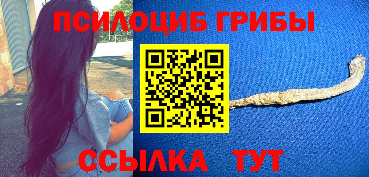 Псилоцибиновые грибы ЛСД  Псилоцибиновые грибы Magic Shrooms  Сертолово  Вход с VPN 
