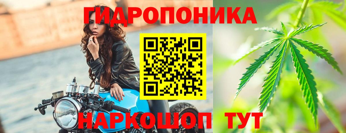 Конопля White Widow Сертолово
